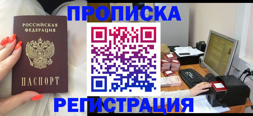 где прописаться в Шарье